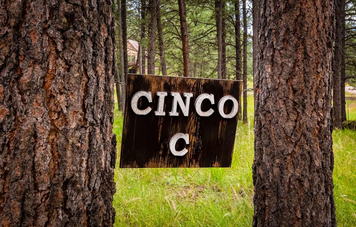 Cinco C photo 23