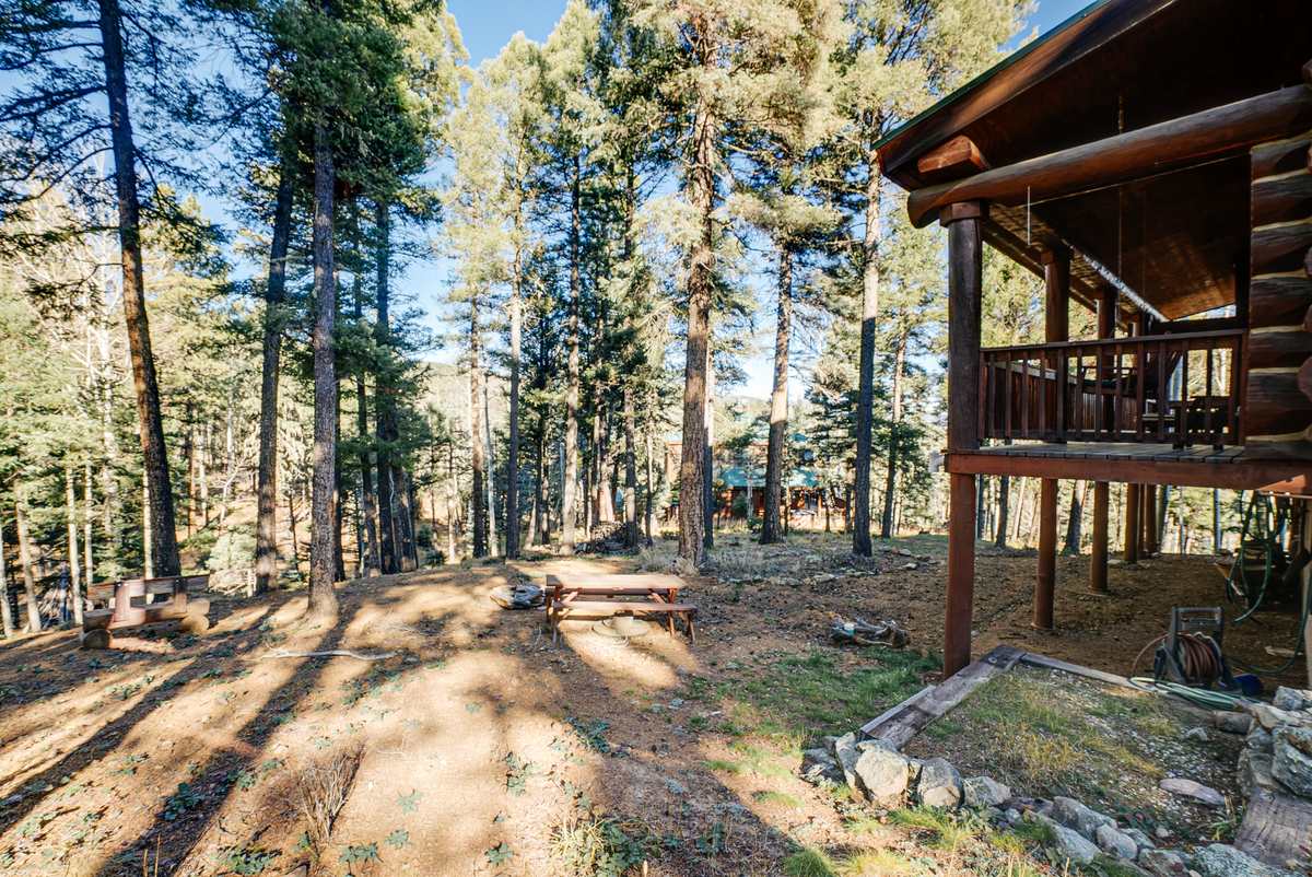 3 Bears Cabin photo 33