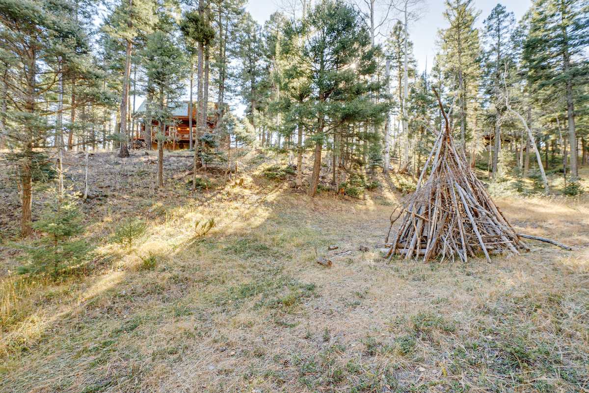 3 Bears Cabin photo 34