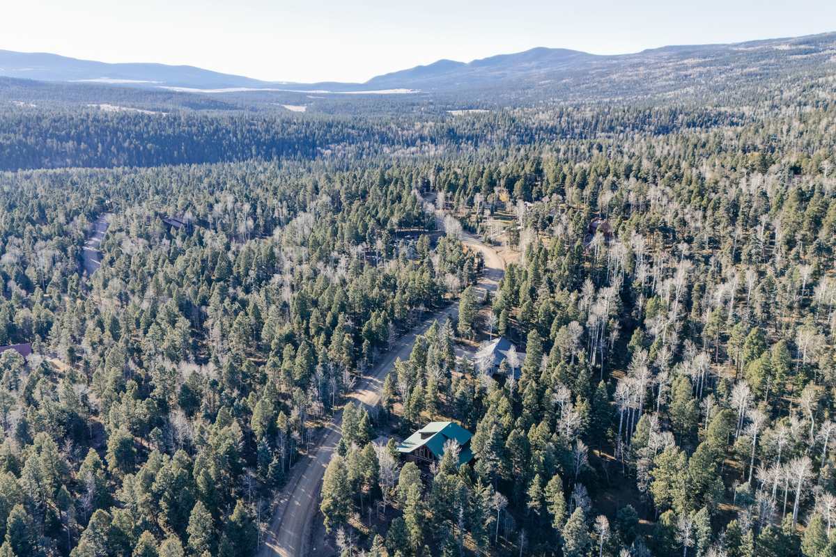3 Bears Cabin photo 36